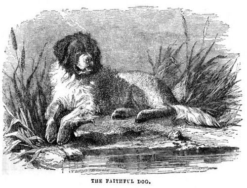 landseer drawing