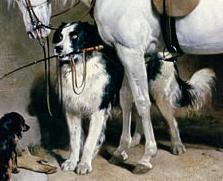 prince george's favourites detail image