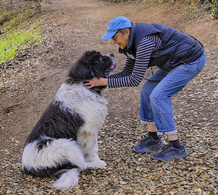 Annette Benning with Newfoundland