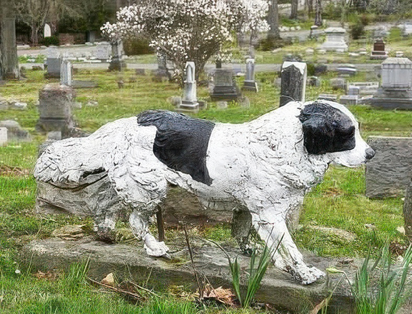 newfoundland dog statue