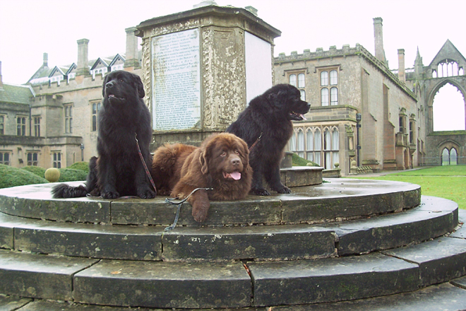 Boatswain's monument