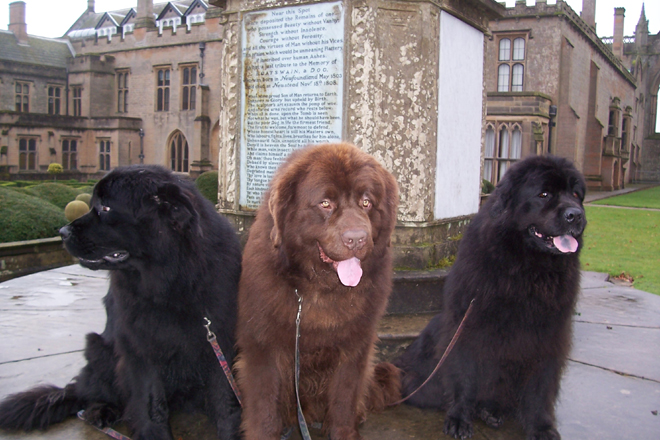 Boatswain's monument