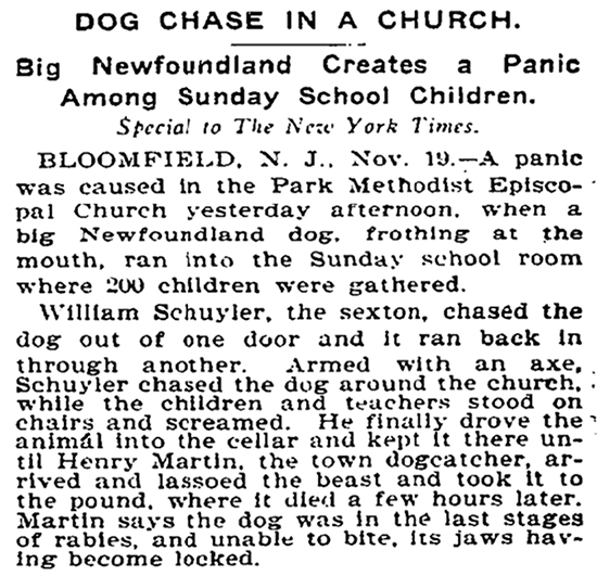 newspaper article image