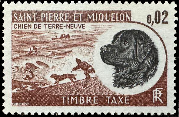 newf stamp