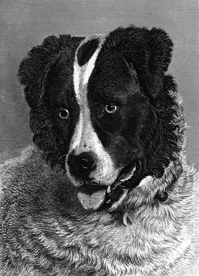 engraving by thomas landseer