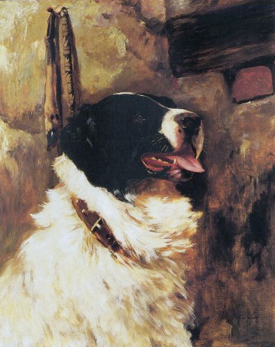 Landseer Newfoundland